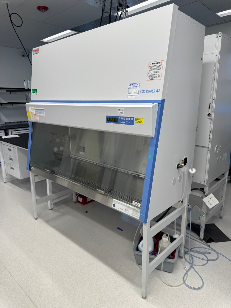 Image of Thermo Scientific 1300 Series A2 BSC- 6ft